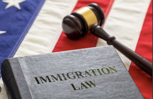 Immigration Law
