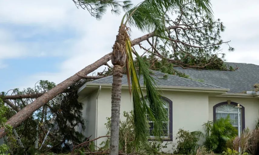 Hurricane Damage Lawyer 6