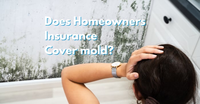 Does homeowners insurance cover mold