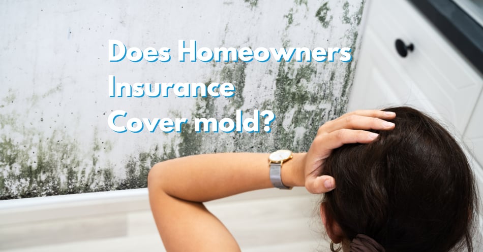 Does Homeowners Insurance Cover Mold? | Godbey Giardina Law Group